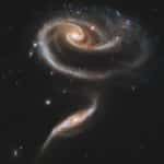 Swirling galaxies resembling rose