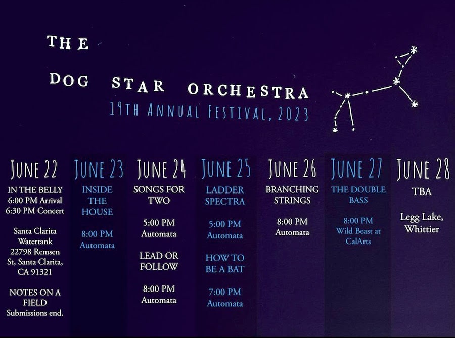 Poster for Dog Star Orchestra 19th annual festival lineup with illustration of dog-shaped constellation