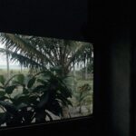 Window in dark interior with view of tropical greenery and ocean