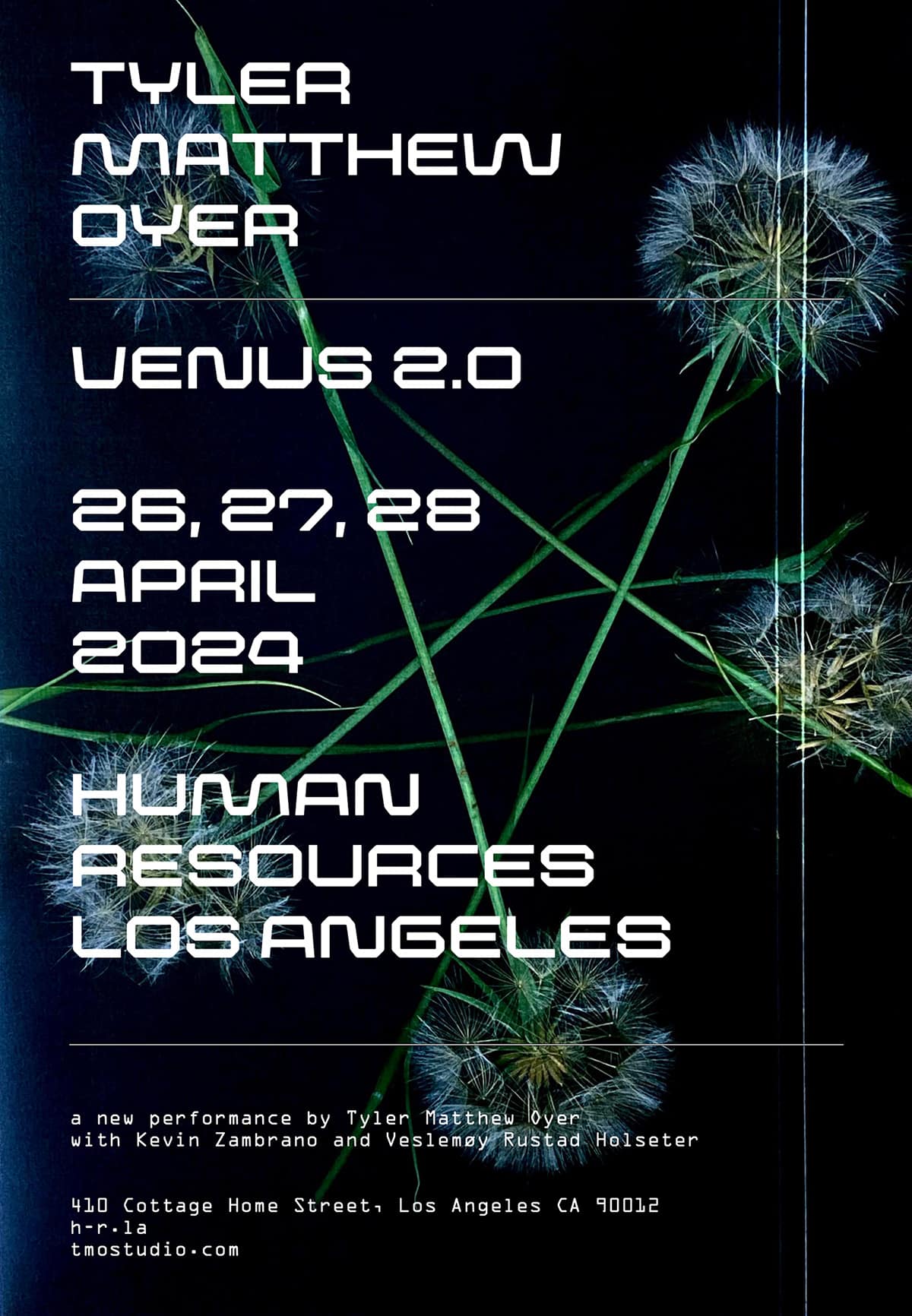 Poster for Tyler Matthew Oyer's 'Venus 2.0' featuring dandelions arranged to form a star shape
