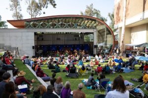 People seated on lawn while watching performers in the Wild Beast