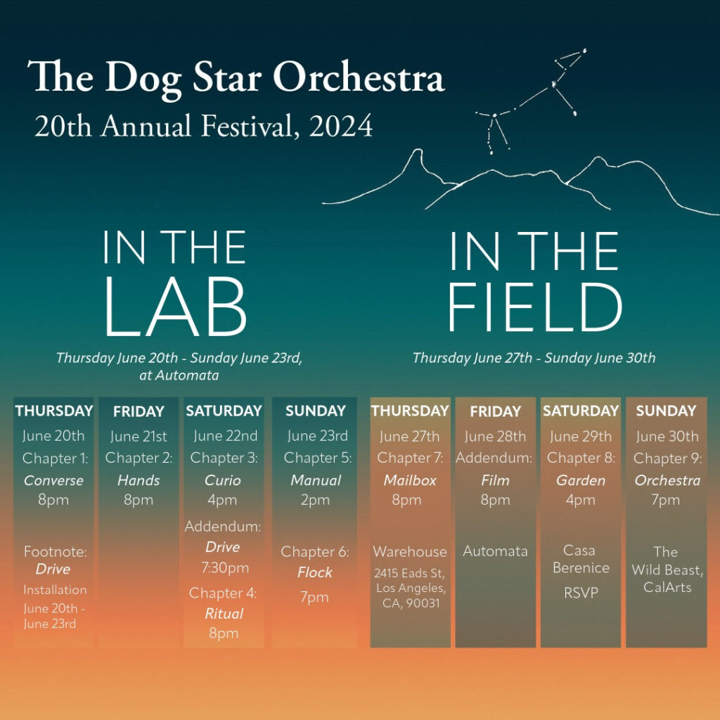 Poster for Dog Star 20 festival.