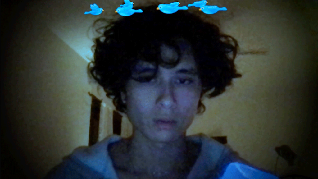 Grainy photobooth image of person with short curly dark hair, with bluebird emojis circling the top of their head