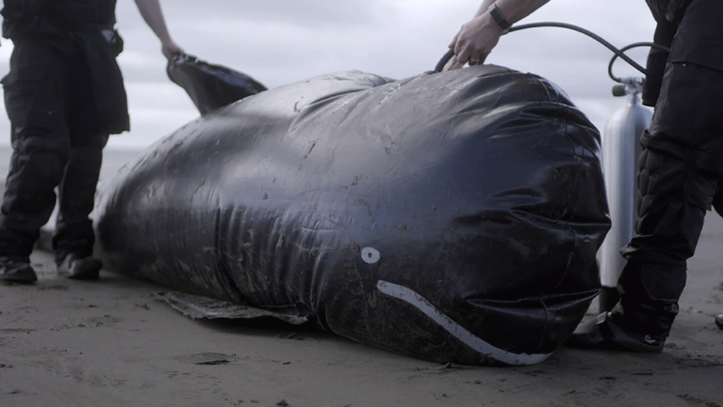 Inflatable whale beached on the sand as two people stand by it with a tank.