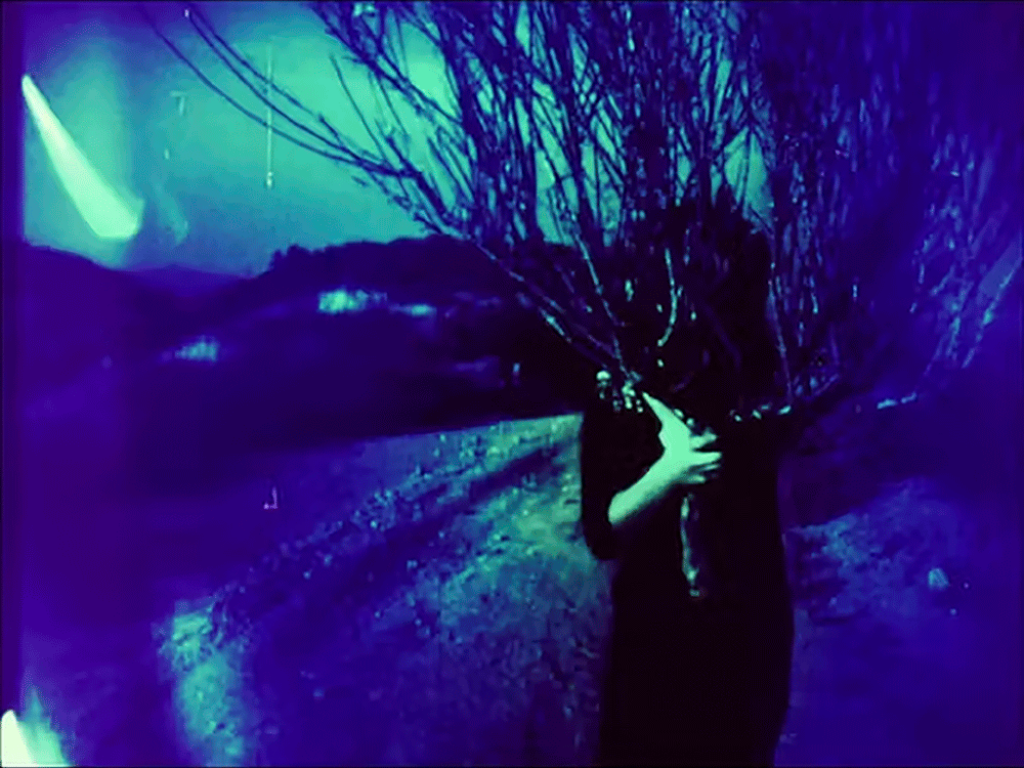 Person holding branches over face standing against surreal blue and green background