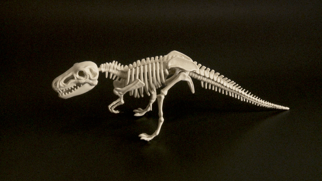 T-rex skeletal model against a black background