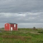 A house sits alone on a grassy plain with a person on stilts walking on a dirt road.