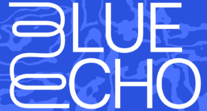 White text on a blue background that reads, 'Blue Echo.'