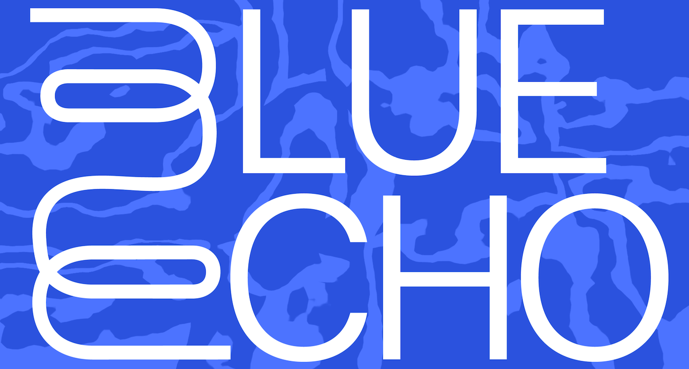 White text on a blue background that reads, 'Blue Echo.'