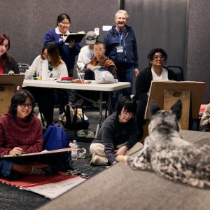 A group of people in a class sketching a dog lying on the floor.