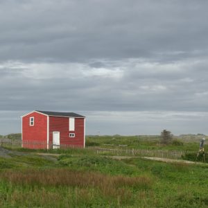 A house sits alone on a grassy plain with a person on stilts walking on a dirt road.
