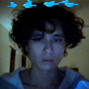 Grainy photobooth image of person with short curly dark hair, with bluebird emojis circling the top of their head