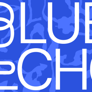 White text on a blue background that reads, 'Blue Echo.'